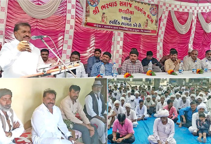 guj19112017-2.jpg