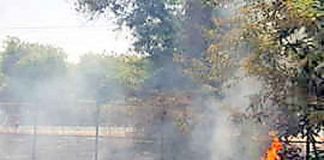 gandhi152018-2.jpg